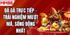 đá gà trực tiếp